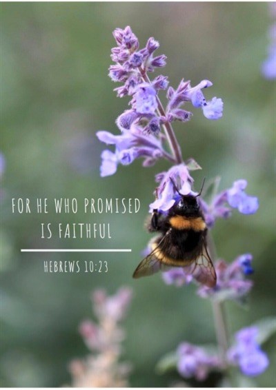 let there be flowersjpeg