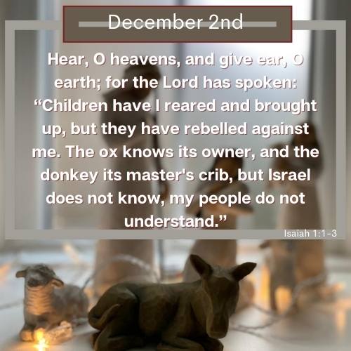 advent verses (4)