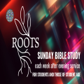 Roots: Bible Study (students and student age)